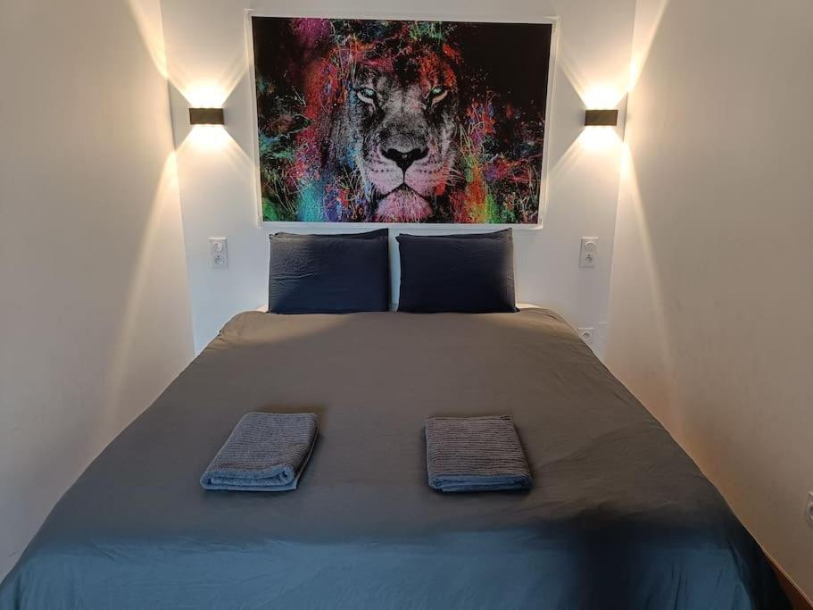 Appartement Confort Equipe Au Coeur De ベジエ エクステリア 写真